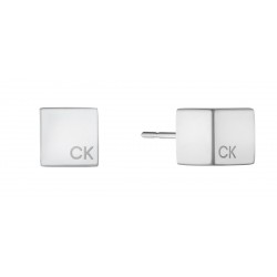 CALVIN KLEIN MERIDIAN EARRINGS ( Silver )