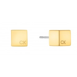 CALVIN KLEIN MERIDIAN EARRINGS ( Gold )