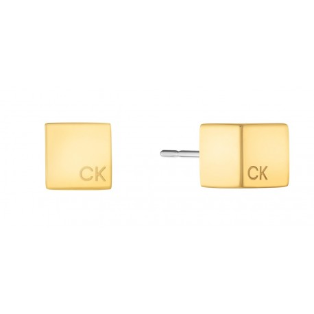 CALVIN KLEIN MERIDIAN EARRINGS ( Gold )