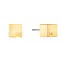 CALVIN KLEIN MERIDIAN EARRINGS ( Gold )